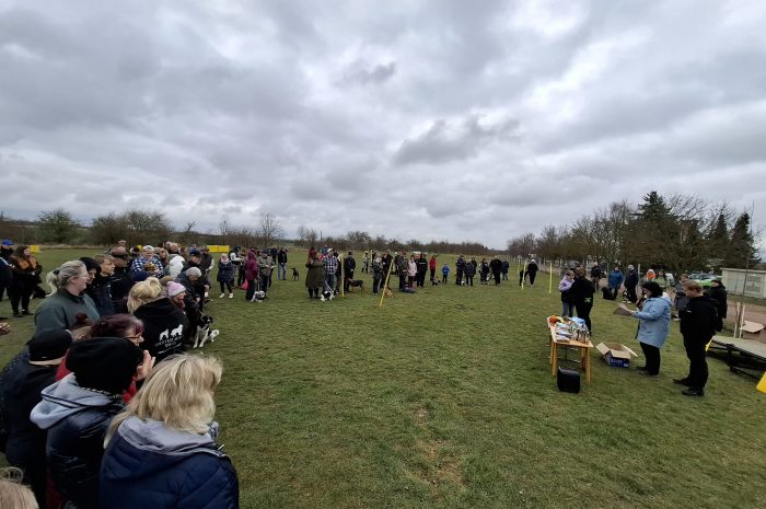 Hunderennen am 15.03.2026 Bilder, Ergebnisse und Bewertung