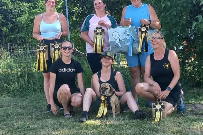 Agility-Landesmeisterschaft 2026 in Hoyerswerda